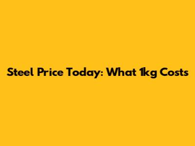 Steel Price Today: What 1kg Costs