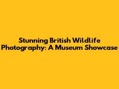 Stunning British Wildlife Photography: A Museum Showcase