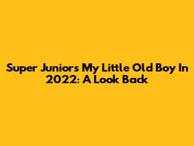 Super Junior's 'My Little Old Boy' In 2022: A Look Back