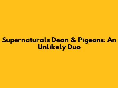 Supernatural's Dean & Pigeons: An Unlikely Duo