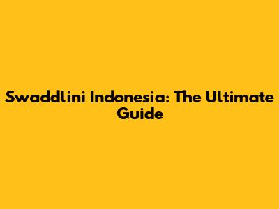 Swaddlini Indonesia: The Ultimate Guide