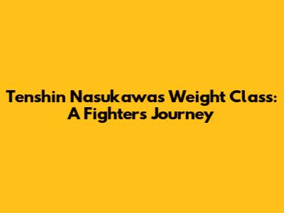 Tenshin Nasukawa's Weight Class: A Fighter's Journey