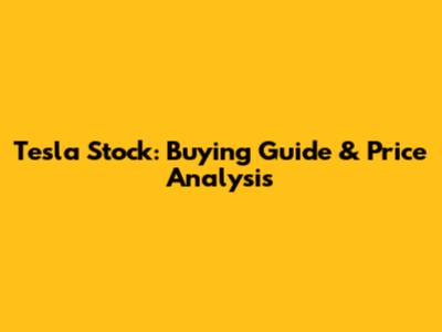 Tesla Stock: Buying Guide & Price Analysis
