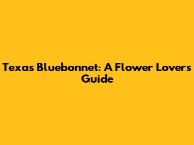 Texas Bluebonnet: A Flower Lover's Guide