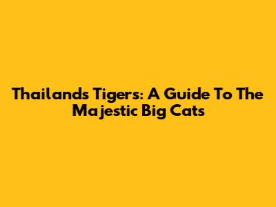 Thailand's Tigers: A Guide To The Majestic Big Cats