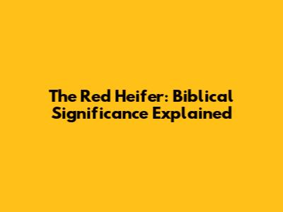 The Red Heifer: Biblical Significance Explained