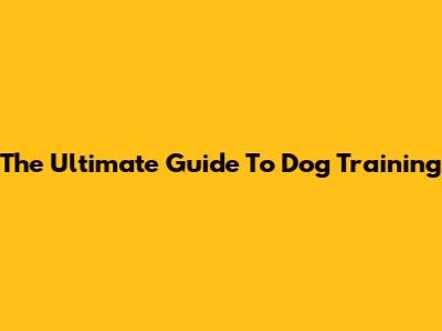 The Ultimate Guide To Dog Training