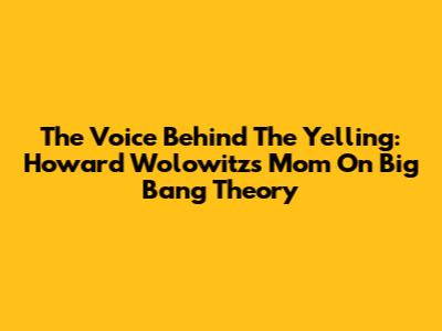 The Voice Behind The Yelling: Howard Wolowitz's Mom On Big Bang Theory