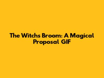 The Witch's Broom: A Magical Proposal GIF