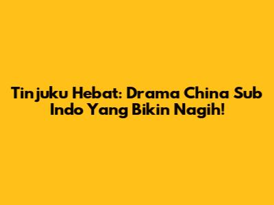 Tinjuku Hebat: Drama China Sub Indo Yang Bikin Nagih!