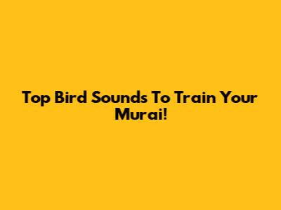 Top Bird Sounds To Train Your Murai!