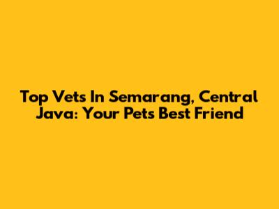 Top Vets In Semarang, Central Java: Your Pet's Best Friend