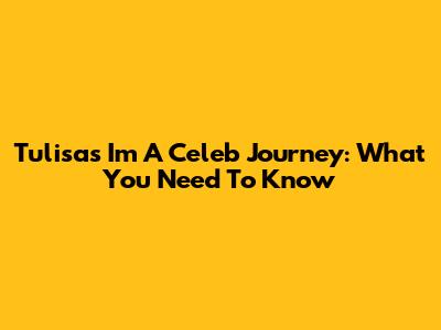 Tulisa's I'm A Celeb Journey: What You Need To Know