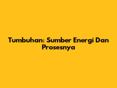 Tumbuhan: Sumber Energi Dan Prosesnya