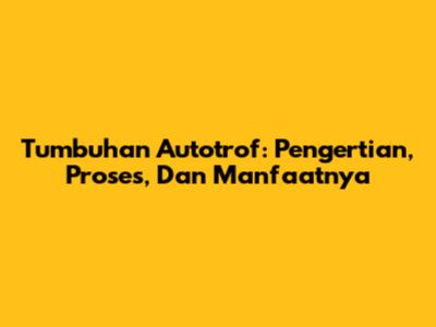 Tumbuhan Autotrof: Pengertian, Proses, Dan Manfaatnya
