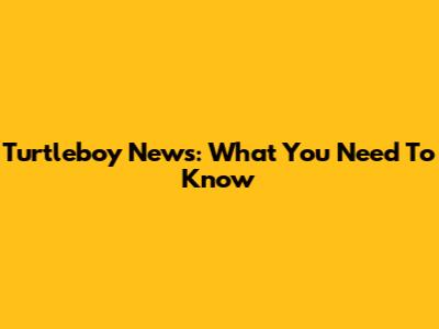 Turtleboy News: What You Need To Know