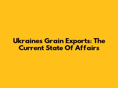 Ukraine's Grain Exports: The Current State Of Affairs
