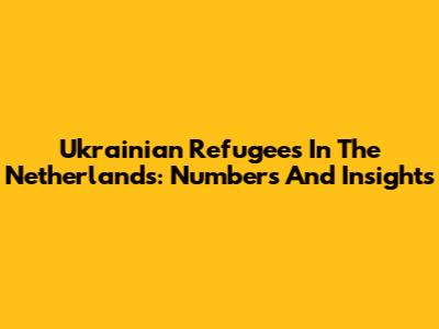Ukrainian Refugees In The Netherlands: Numbers And Insights
