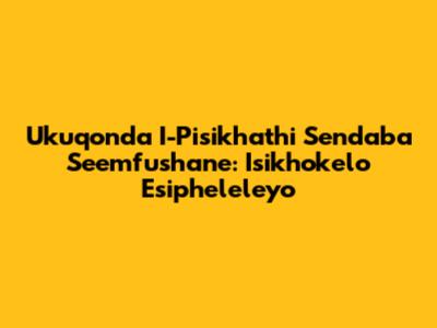 Ukuqonda I-Pisikhathi Sendaba Seemfushane: Isikhokelo Esipheleleyo