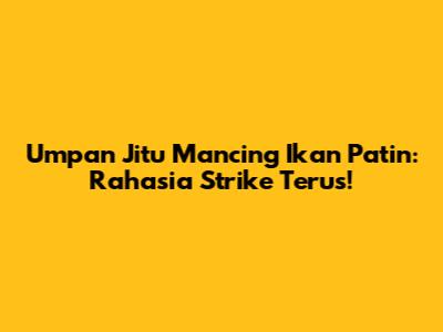 Umpan Jitu Mancing Ikan Patin: Rahasia Strike Terus!