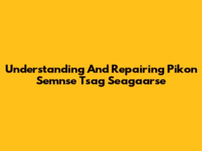 Understanding And Repairing Pikon Semnse Tsag Seagaarse