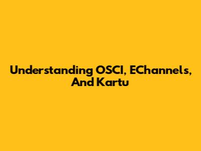 Understanding OSCI, EChannels, And Kartu