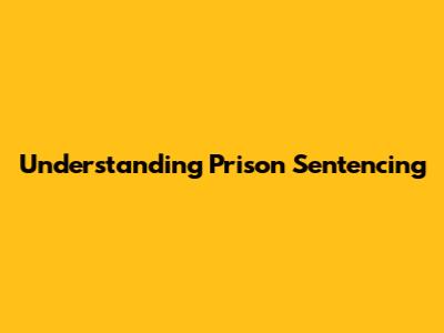 Understanding Prison Sentencing