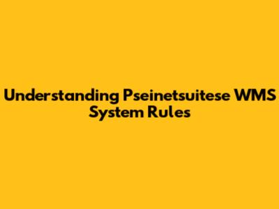 Understanding Pseinetsuitese WMS System Rules