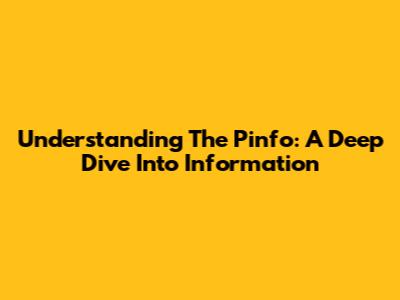 Understanding The Pinfo: A Deep Dive Into Information