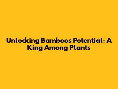 Unlocking Bamboo's Potential: A King Among Plants