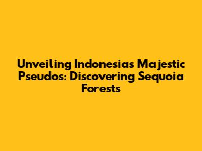 Unveiling Indonesia's Majestic Pseudos: Discovering Sequoia Forests