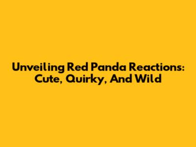 Unveiling Red Panda Reactions: Cute, Quirky, And Wild