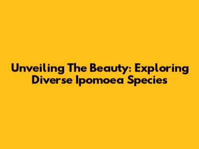 Unveiling The Beauty: Exploring Diverse Ipomoea Species