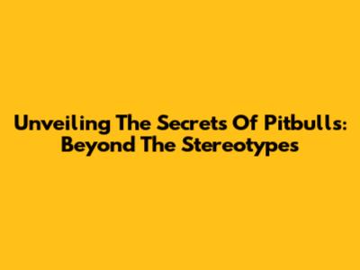 Unveiling The Secrets Of Pitbulls: Beyond The Stereotypes