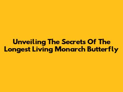 Unveiling The Secrets Of The Longest Living Monarch Butterfly