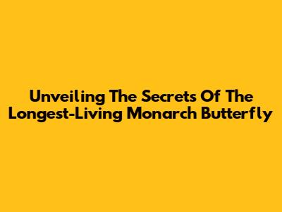 Unveiling The Secrets Of The Longest-Living Monarch Butterfly