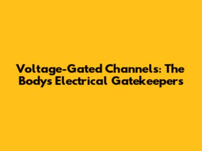 Voltage-Gated Channels: The Body's Electrical Gatekeepers