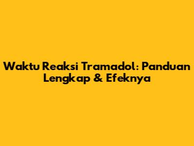 Waktu Reaksi Tramadol: Panduan Lengkap & Efeknya