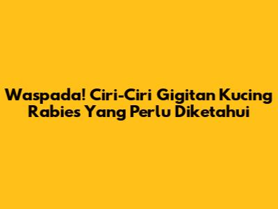 Waspada! Ciri-Ciri Gigitan Kucing Rabies Yang Perlu Diketahui