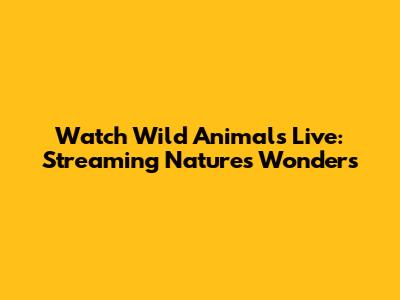 Watch Wild Animals Live: Streaming Nature's Wonders