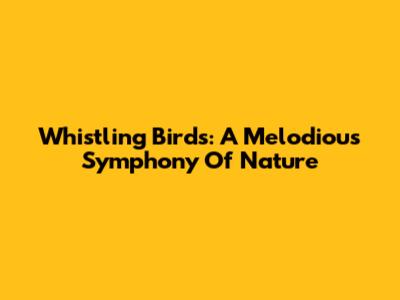Whistling Birds: A Melodious Symphony Of Nature