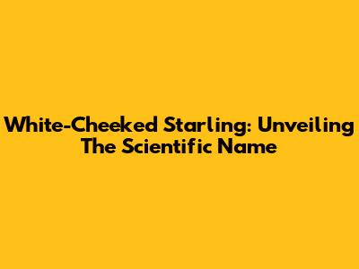 White-Cheeked Starling: Unveiling The Scientific Name