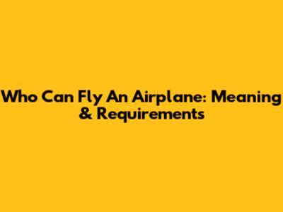 Who Can Fly An Airplane: Meaning & Requirements