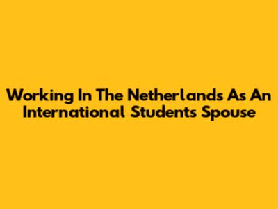 Working In The Netherlands As An International Student's Spouse