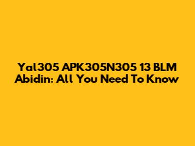 Yal305 APK305N305 13 BLM Abidin: All You Need To Know