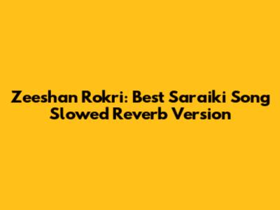 Zeeshan Rokri: Best Saraiki Song Slowed Reverb Version