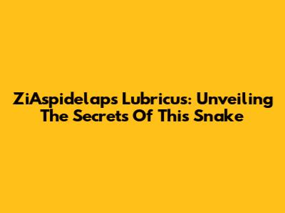ZiAspidelaps Lubricus: Unveiling The Secrets Of This Snake