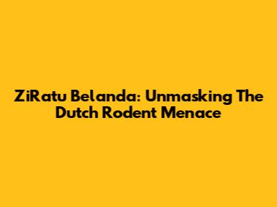 ZiRatu Belanda: Unmasking The Dutch Rodent Menace