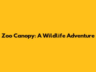 Zoo Canopy: A Wildlife Adventure