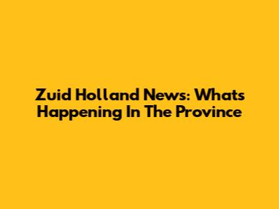 Zuid Holland News: What's Happening In The Province